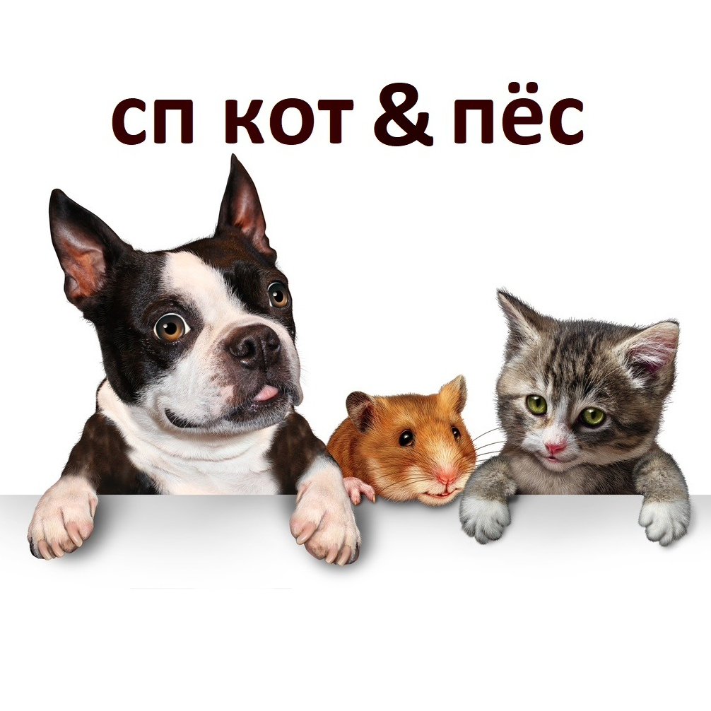 Собачки кошечки и хомяки