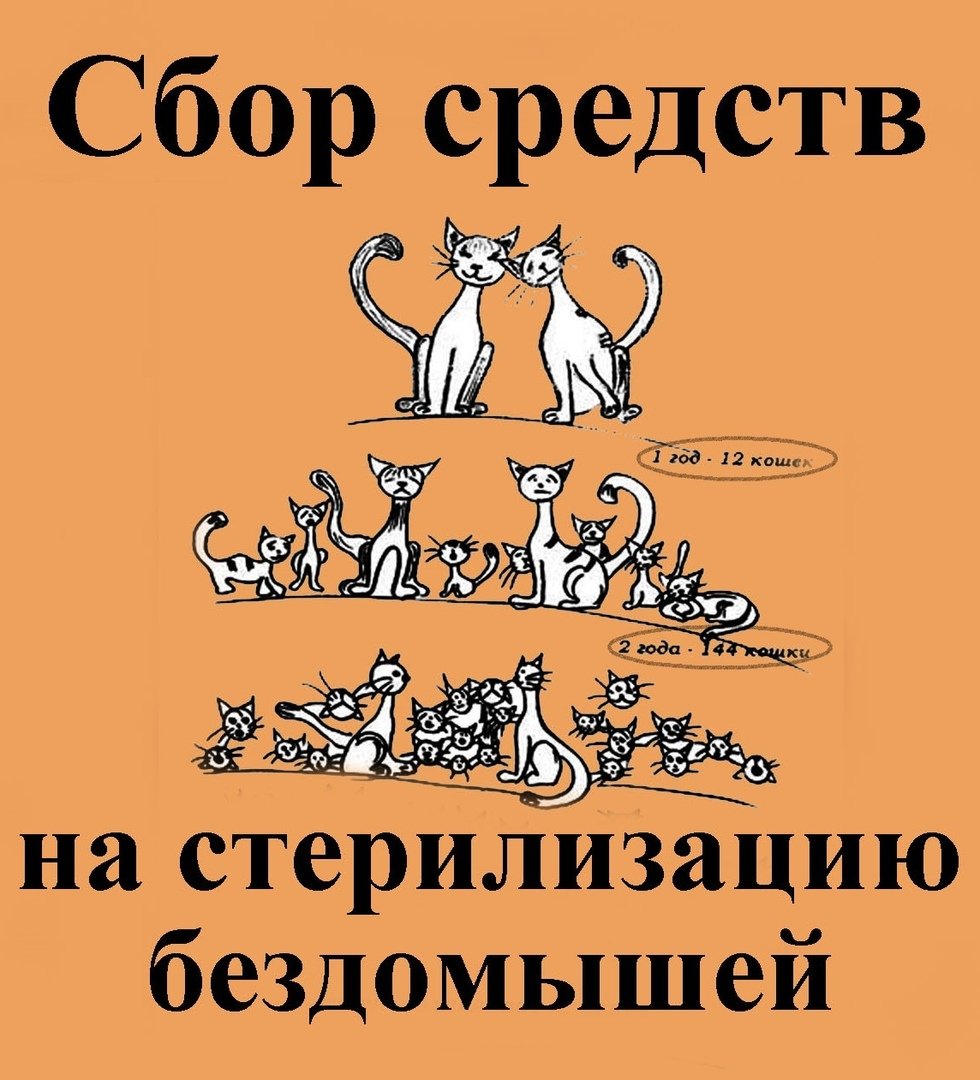 Помогите оплатить вакцины