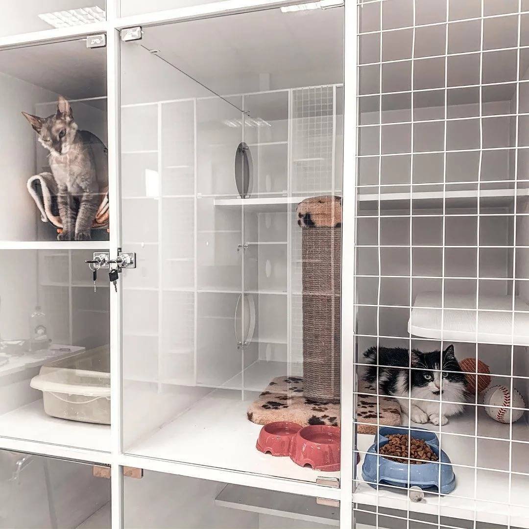 Гостиница для кошек