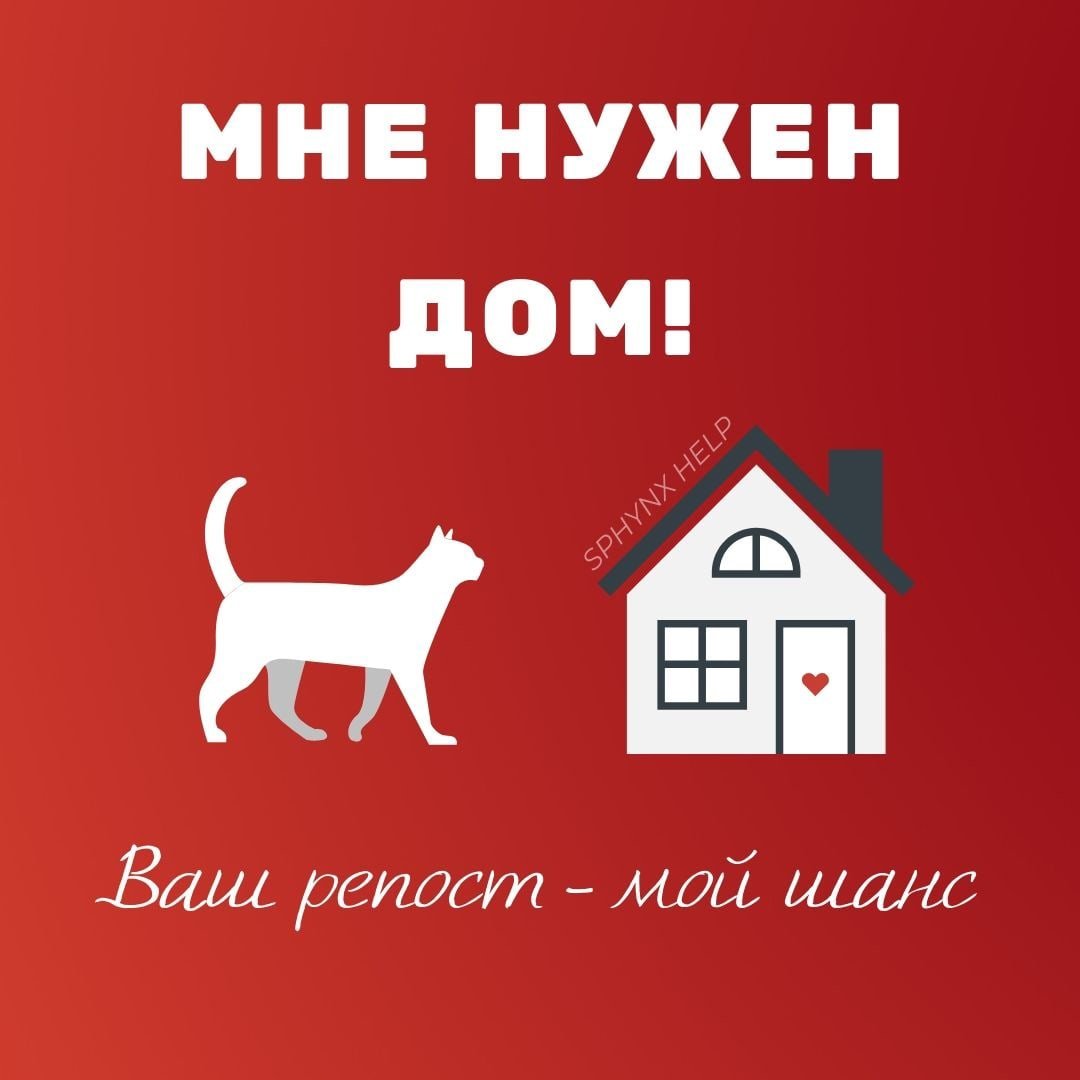 Зоомагазин баннер