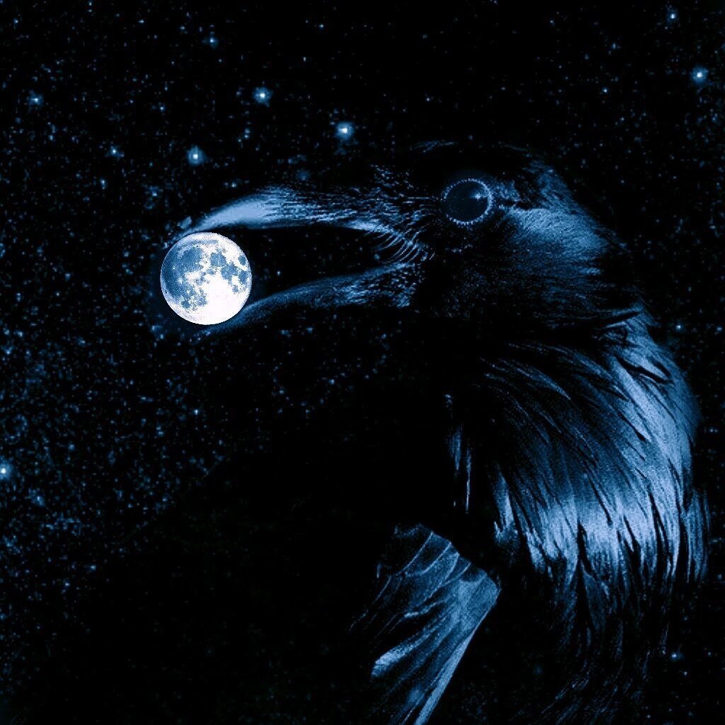 Night crows вороны. Ворон и Луна. Магический ворон. Черный ворон Тотем. Луна и вороны.