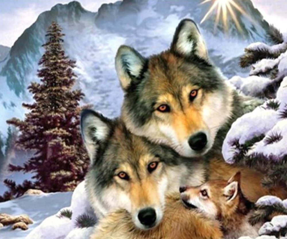 Волк волчица Волчонок семья