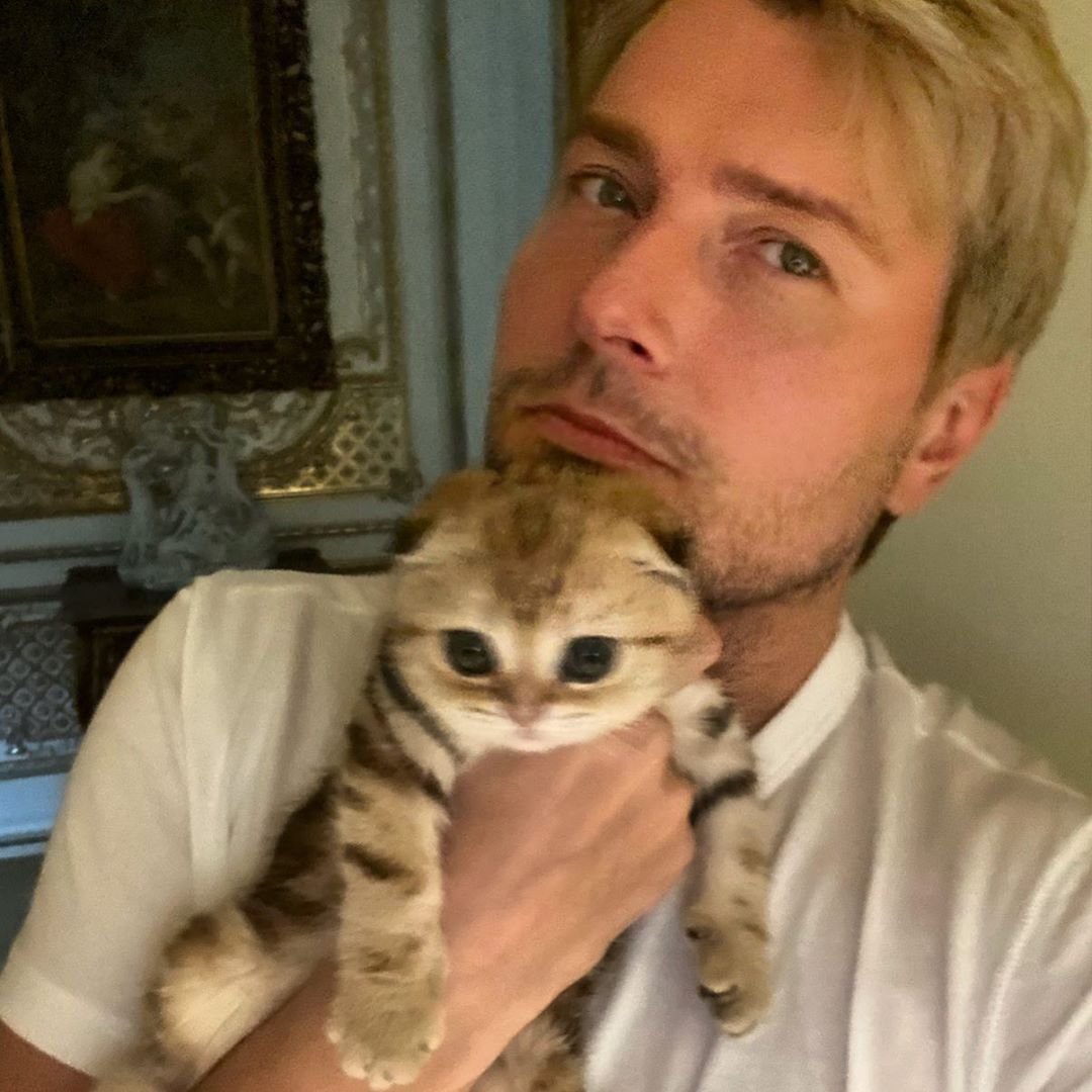 Кот Николая Баскова