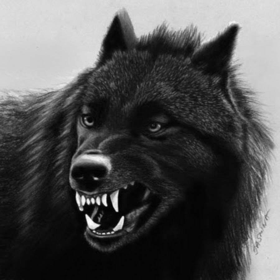 Волк опасный хищник в ночи крови