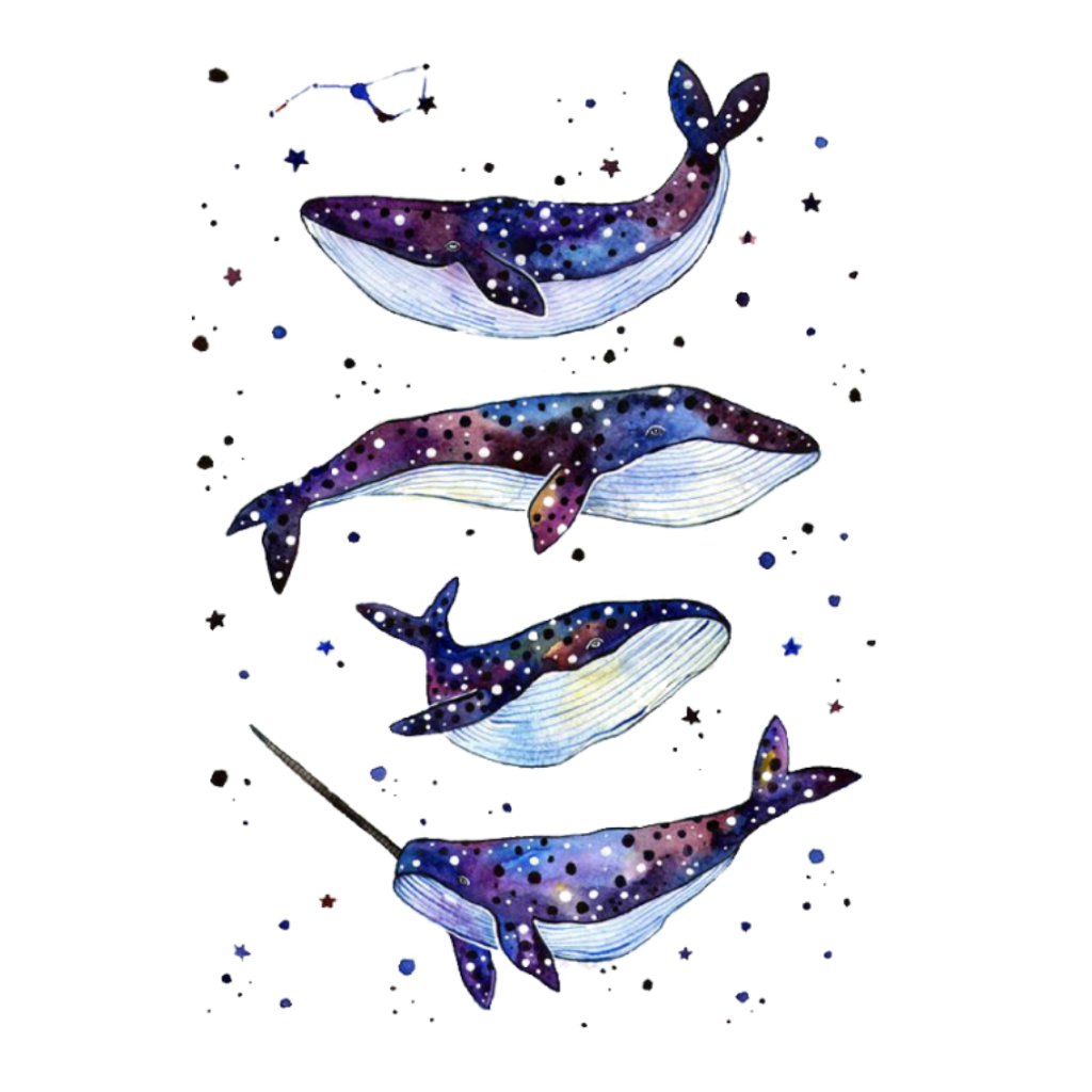 Кашалот кит убийца