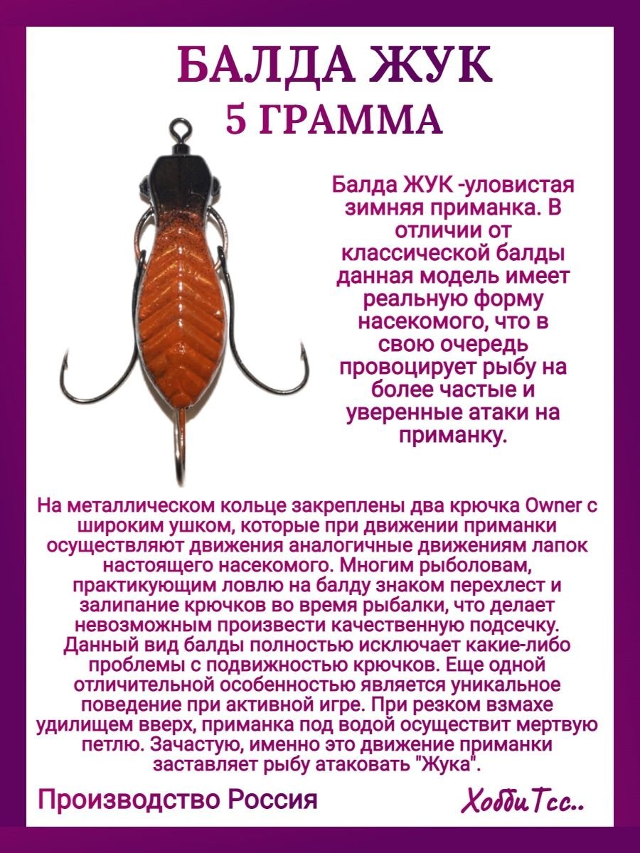 Короед Жук древоточец