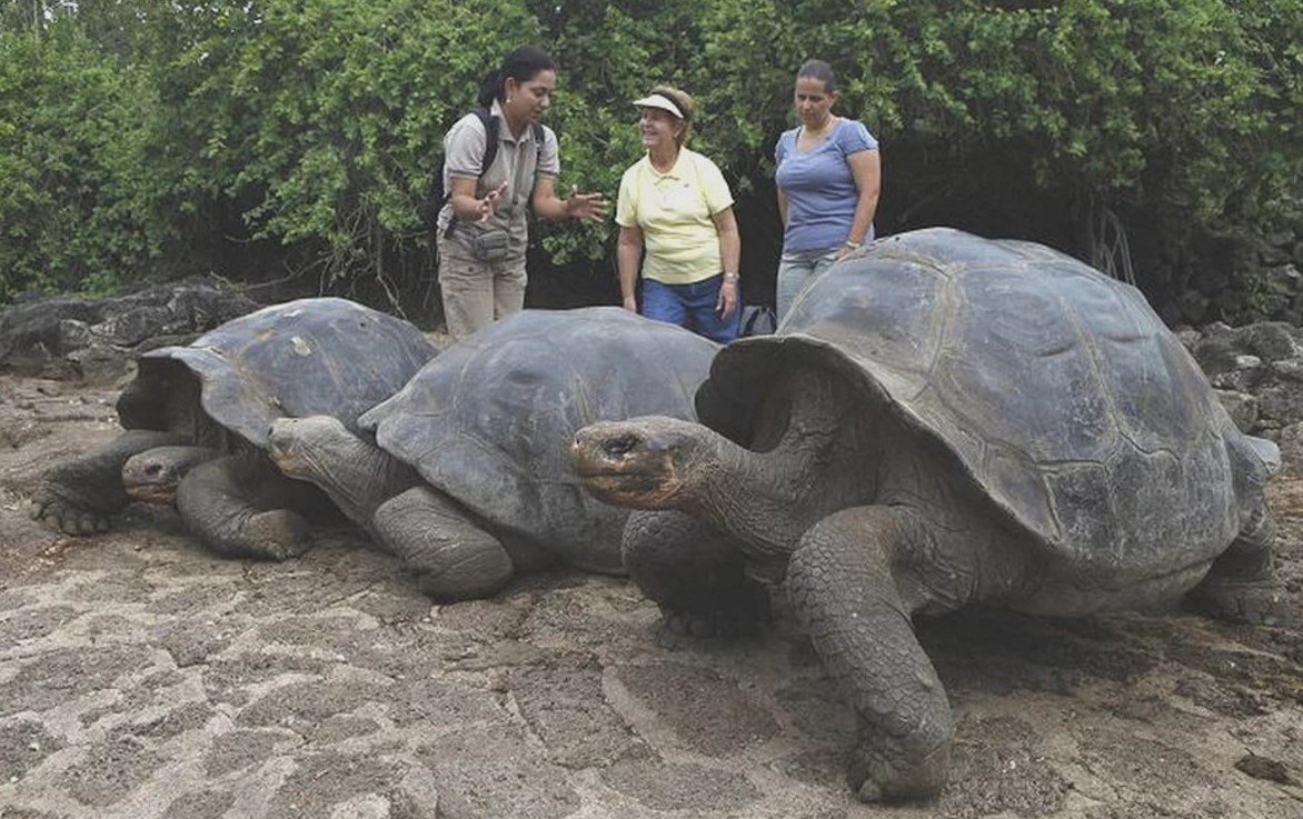 Галапагосские острова черепахи