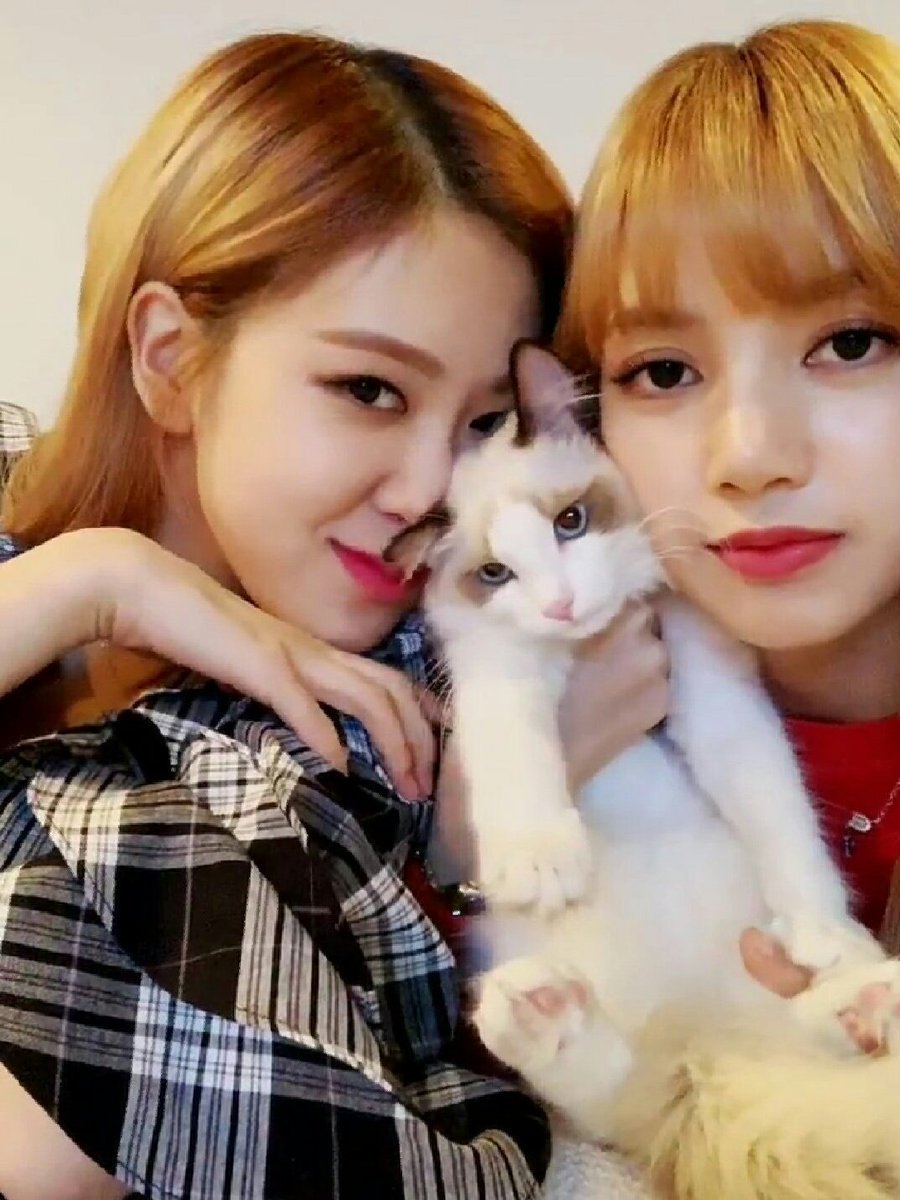 Лалиса Манобан и Розе