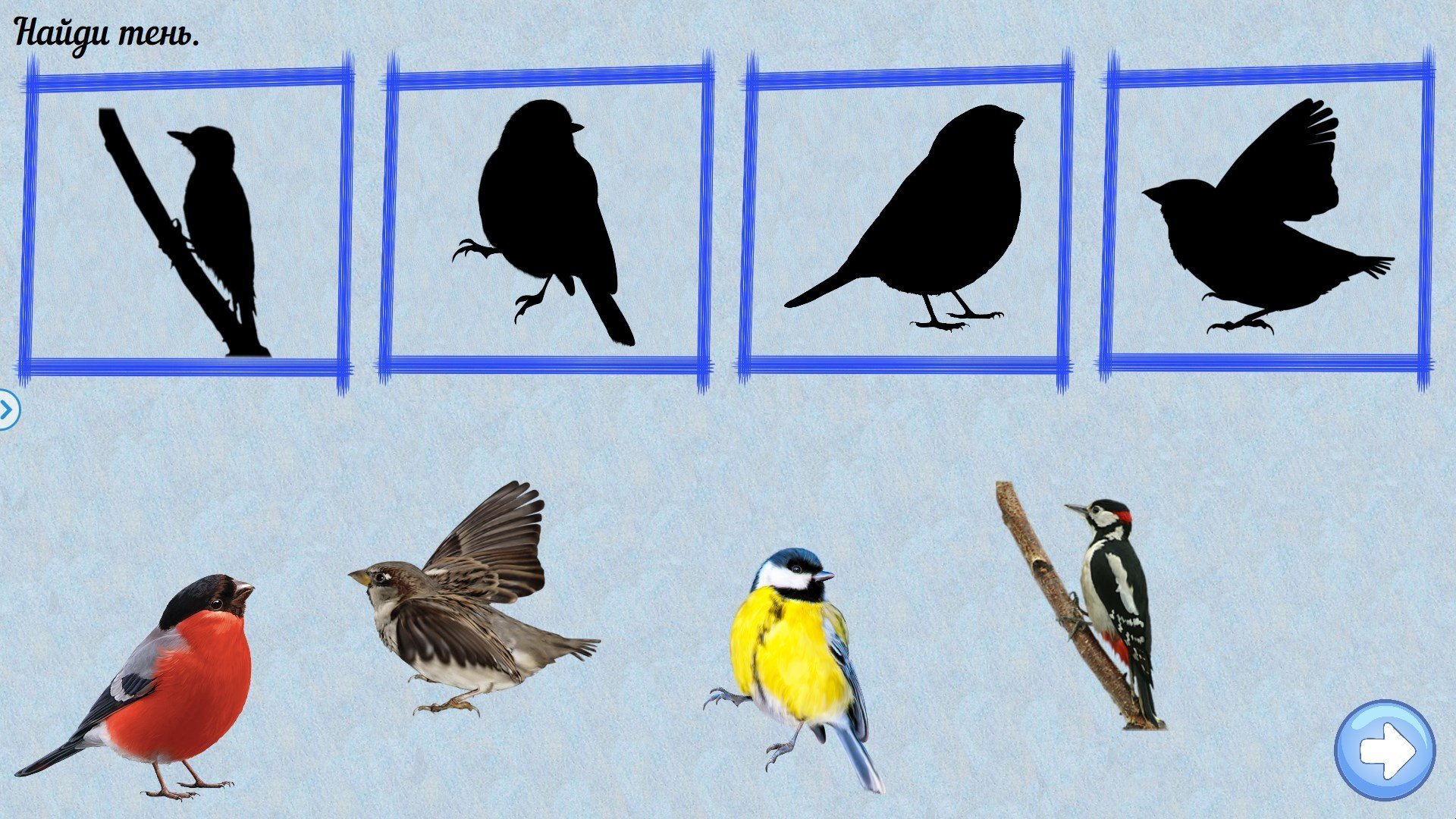 Познание птицы