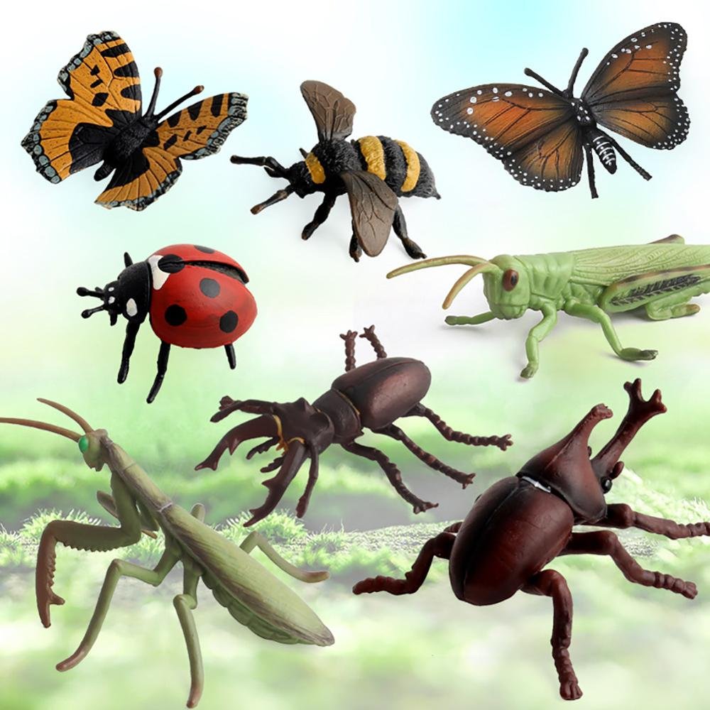 Семейства насекомых
