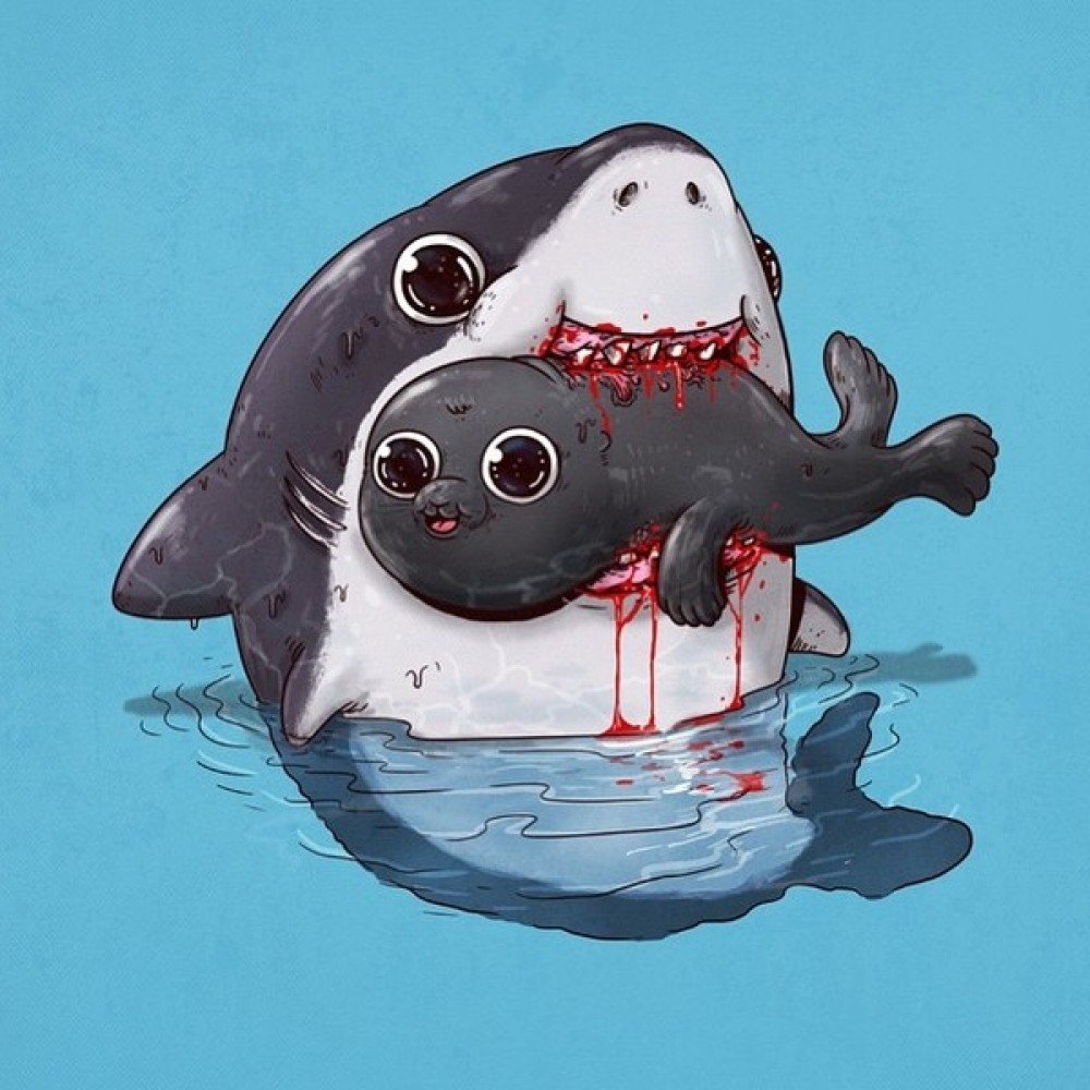 Сельдевая акула и человек