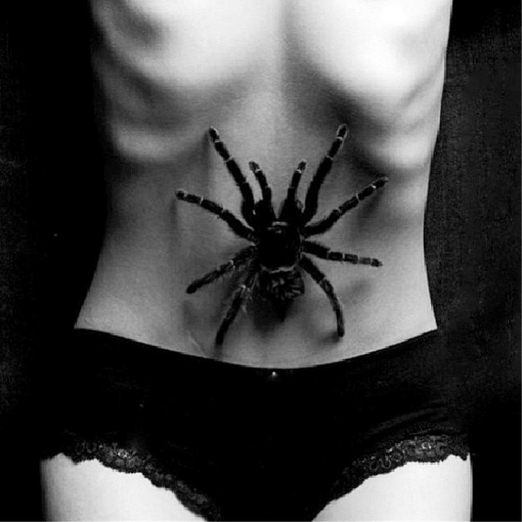 Паук с белым рисунком на спине