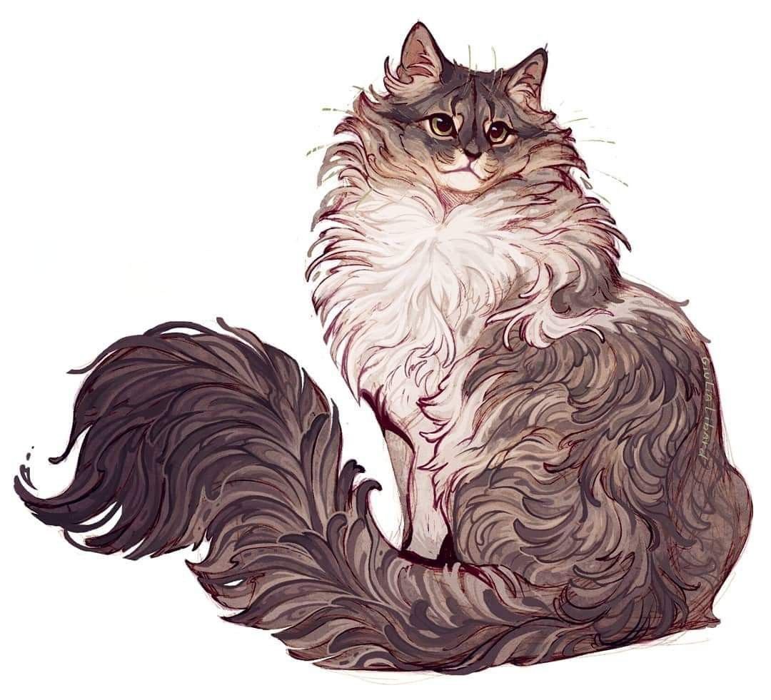 Норвежская Лесная кошка черно-белая котята