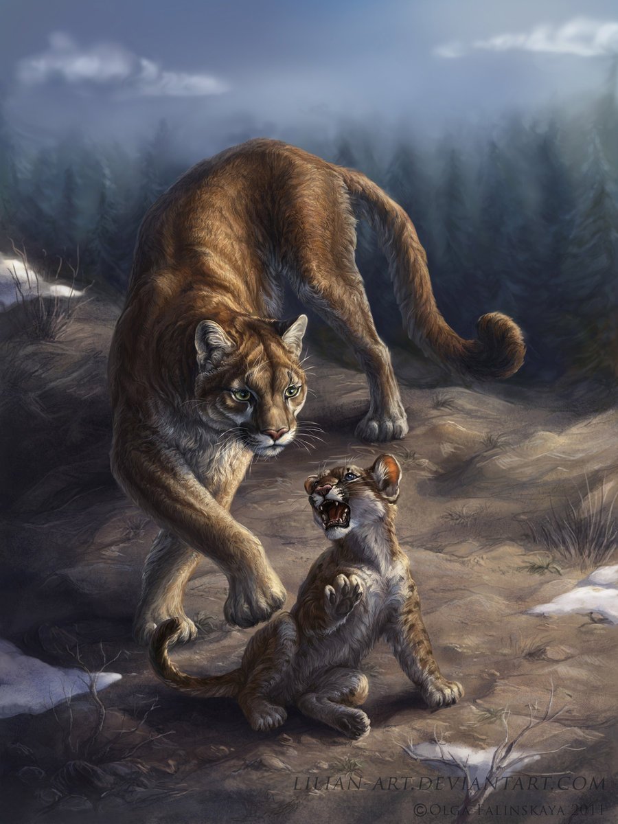 Пума фэнтези