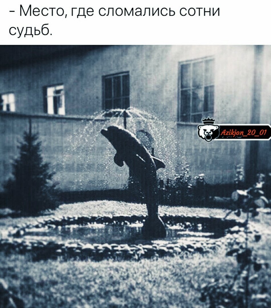 Соль-Илецк зона черный Дельфин