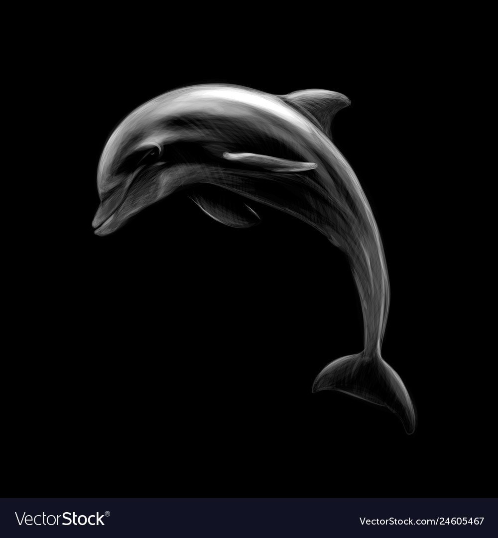 Анапа фонтан дельфины