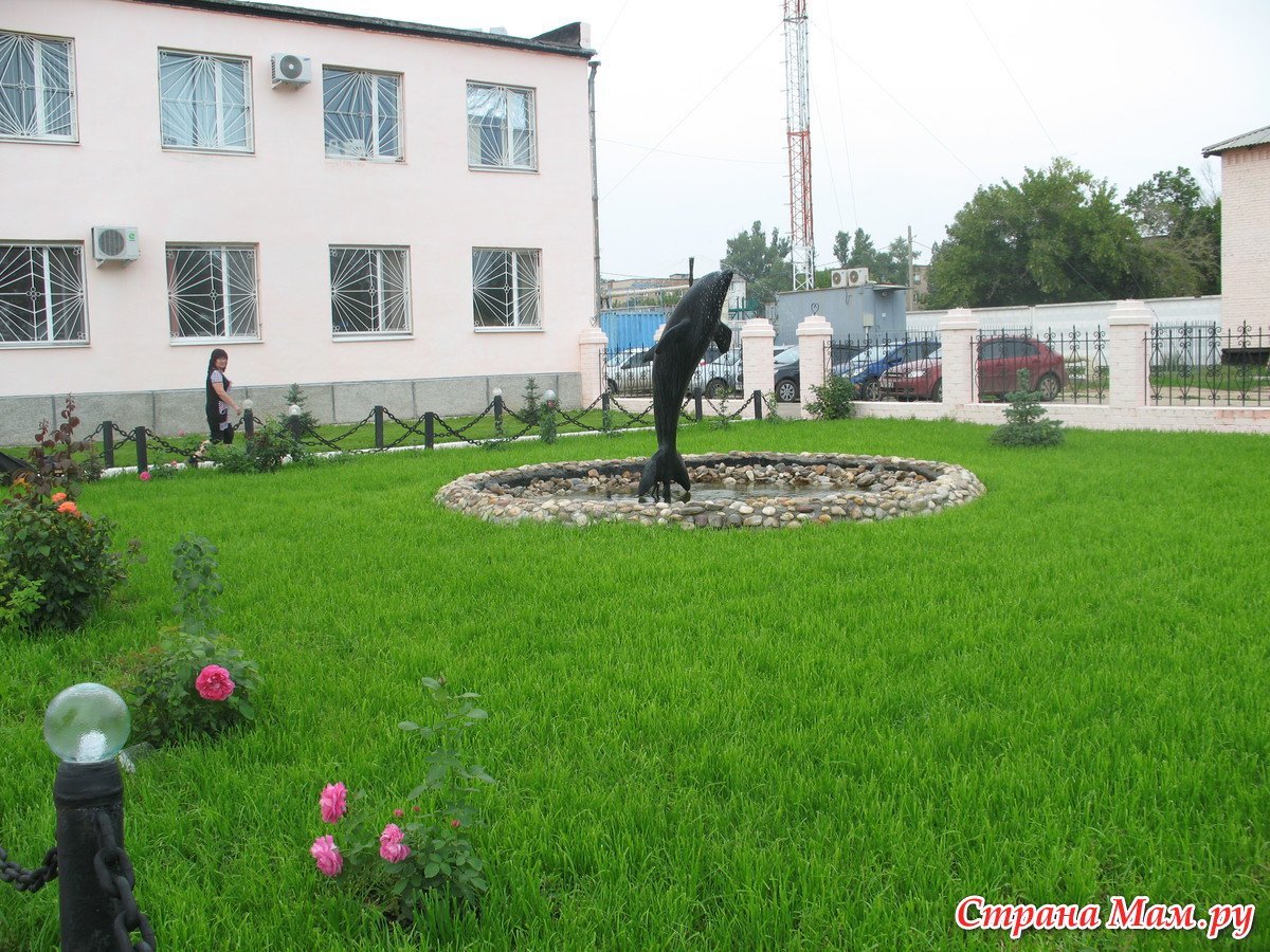 Лагерь черный Дельфин