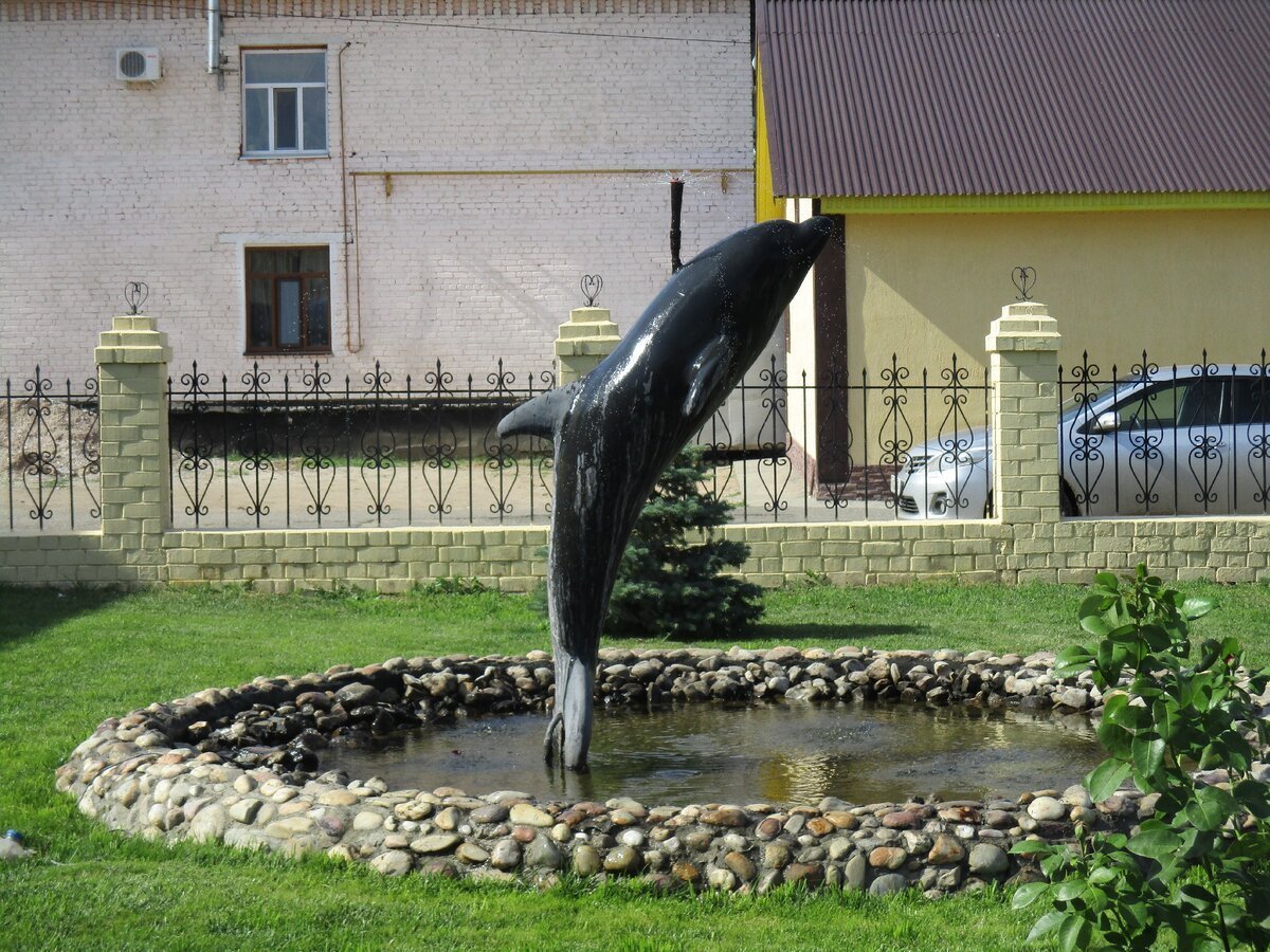 Соль-Илецк черный Дельфин