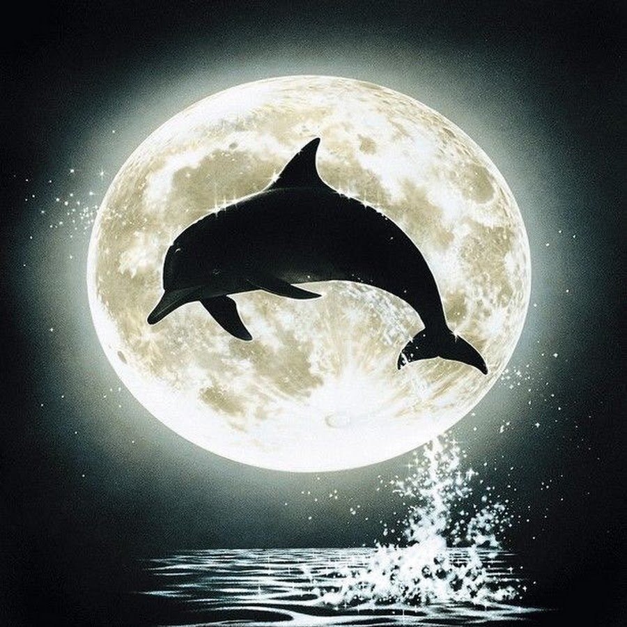 Гио пика фонтанчик с дельфином Adam Maniac Imanbek Remix