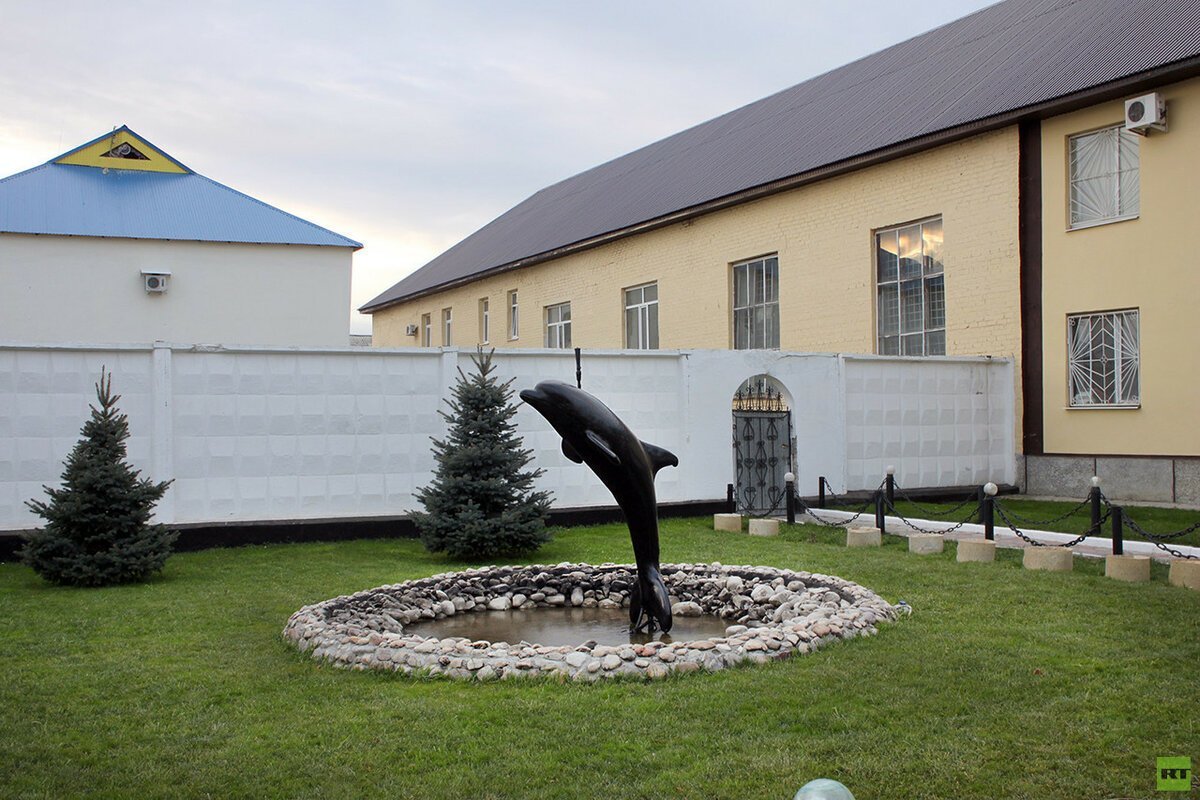 Фонтанчик с черным дельфином