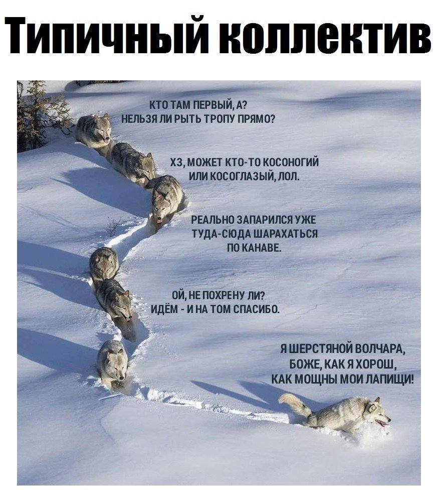 Расим Бурилар