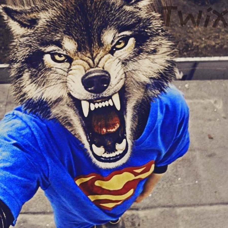 Агрессивный волк