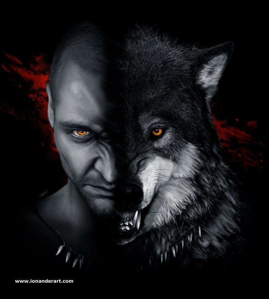 Цитаты волка