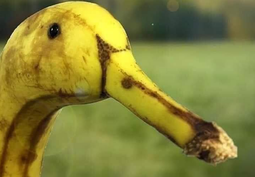 Девушка утка