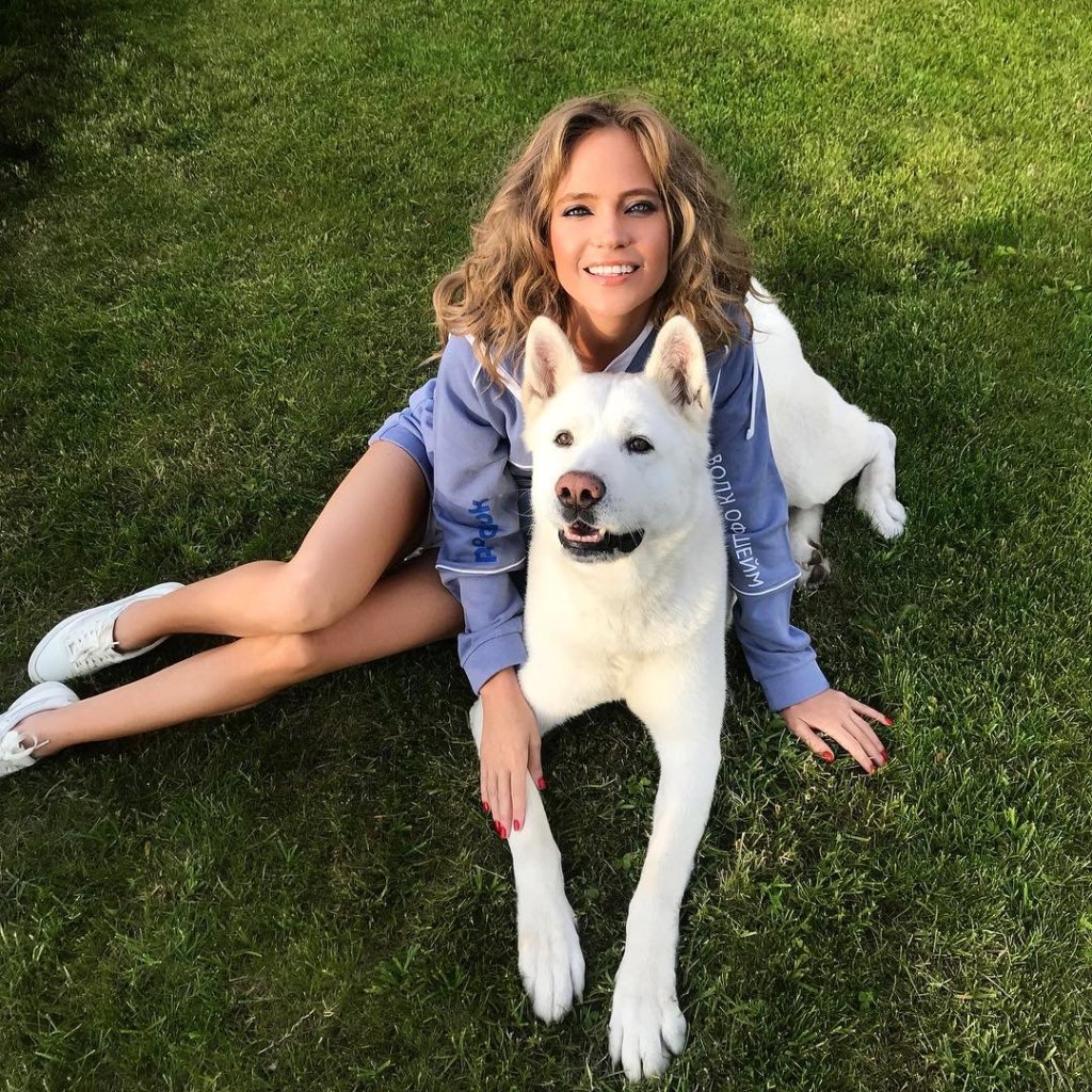 Нарисовать собаку Бигль