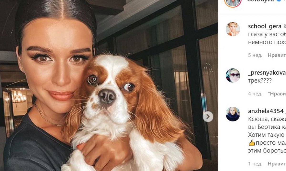 Акита ину Путина