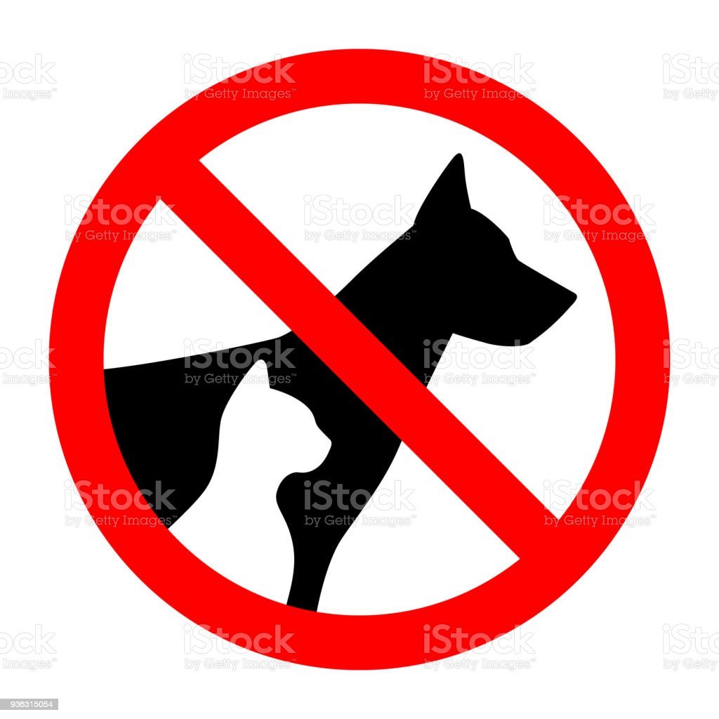 Стаффордширский терьер булли