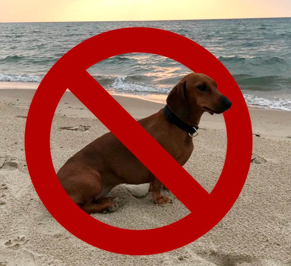 Поздравление с днем говна