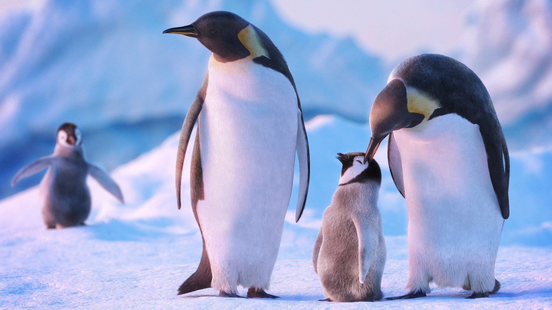 Пингвины моей мамы вк. Императорский Пингвин в Антарктиде. Королевский Пингвин в Антарктиде. Императорский Пингвин семья. Полярный Пингвин.