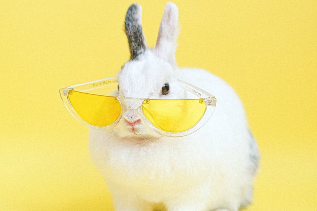 Желтый кролик