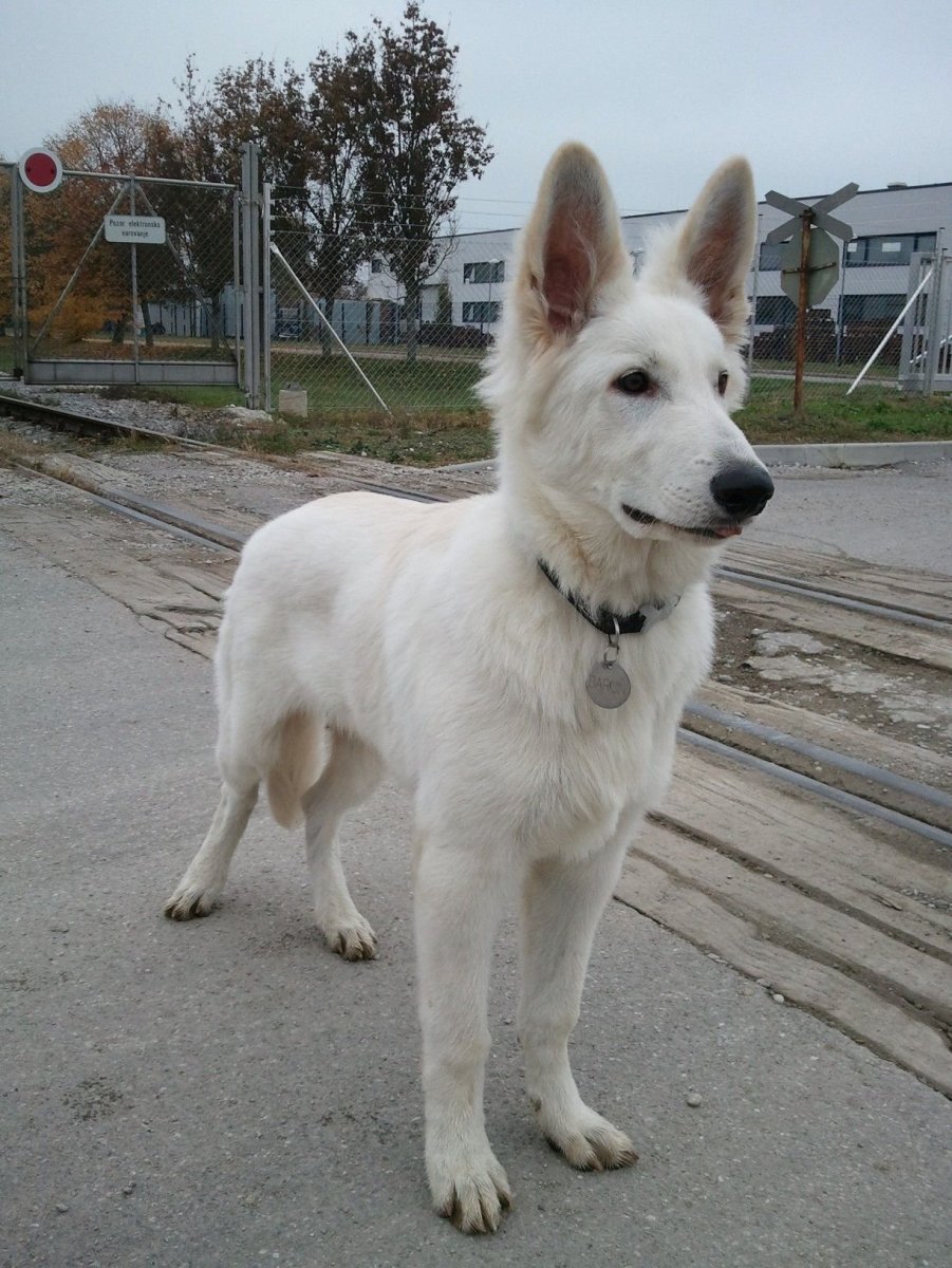 Монастырь сен Бернар