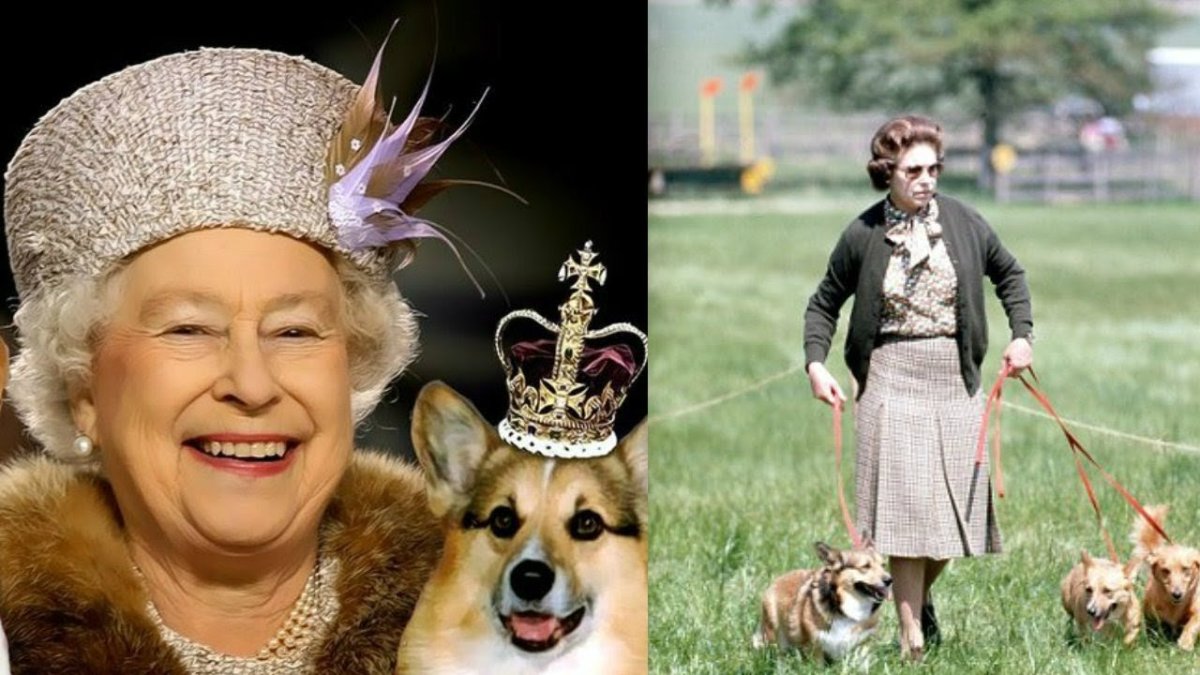 Елизавета 2 Королева Великобритании с корги