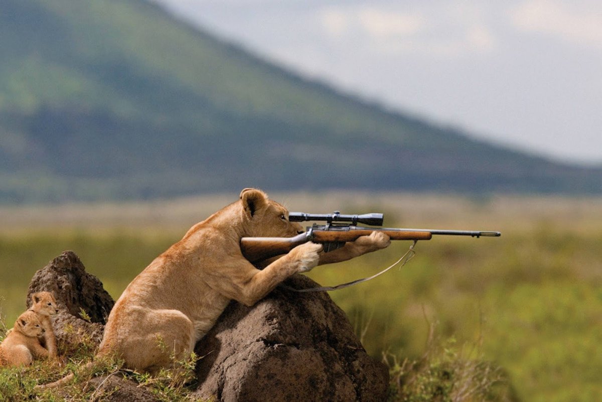 Медведь в ушанке с балалайкой