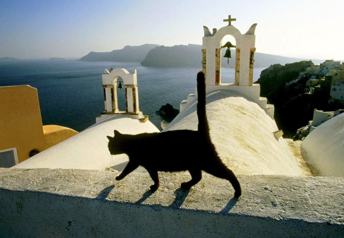 Сушко Михаил Александрович Белоруссия