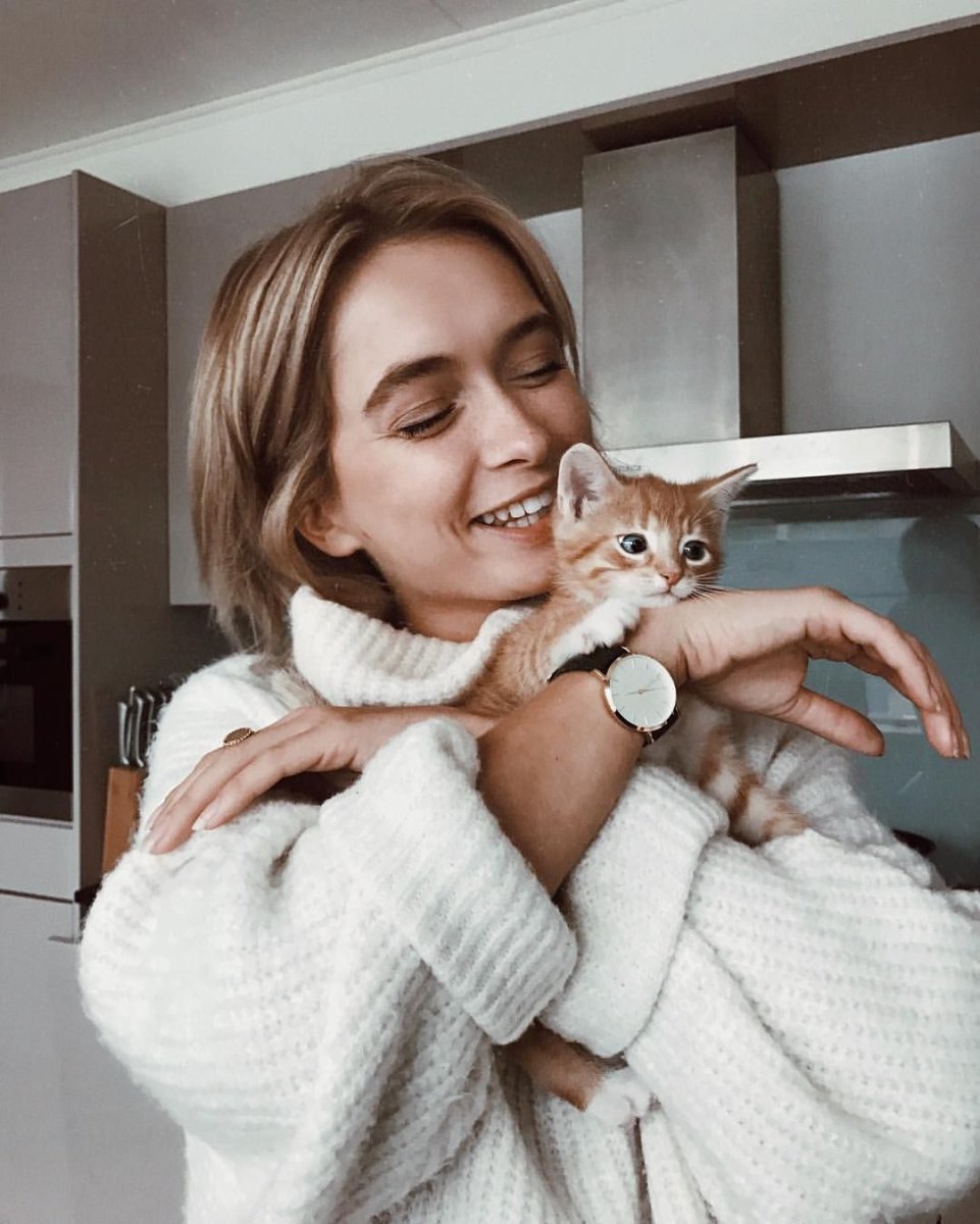 Кот в храме