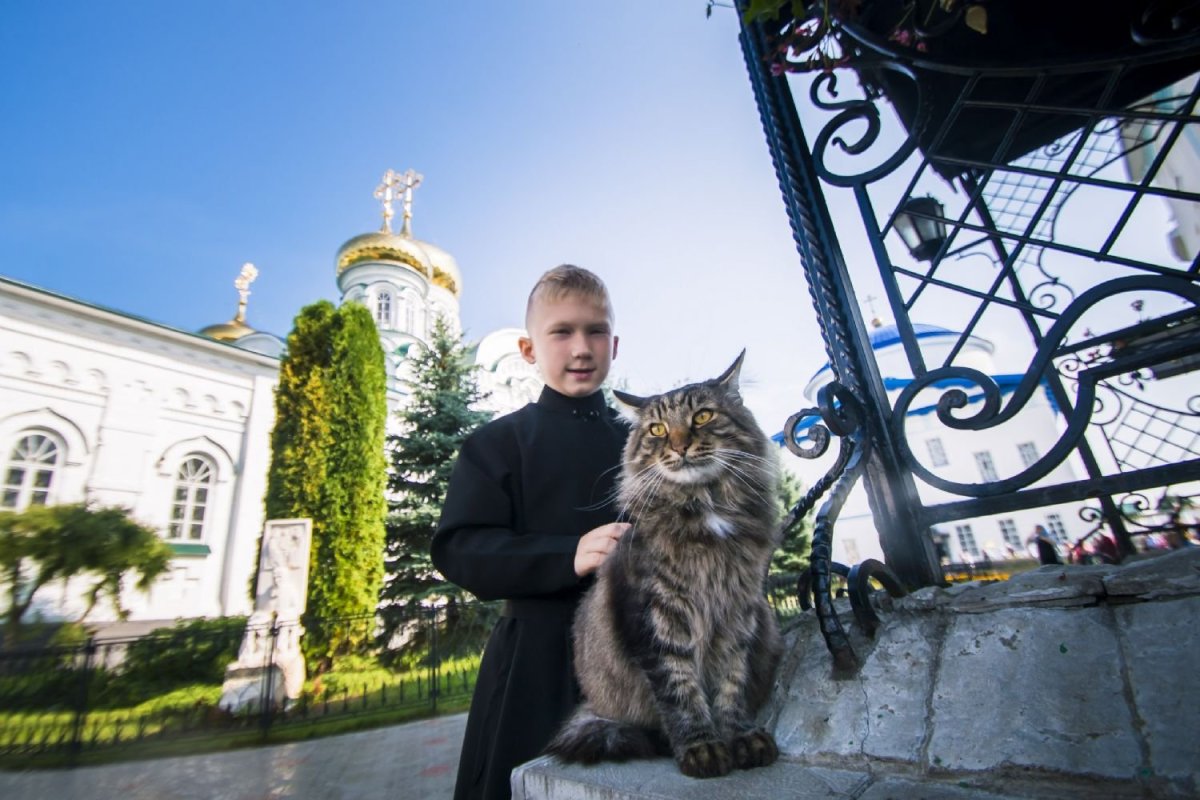 Раифский монастырь кот