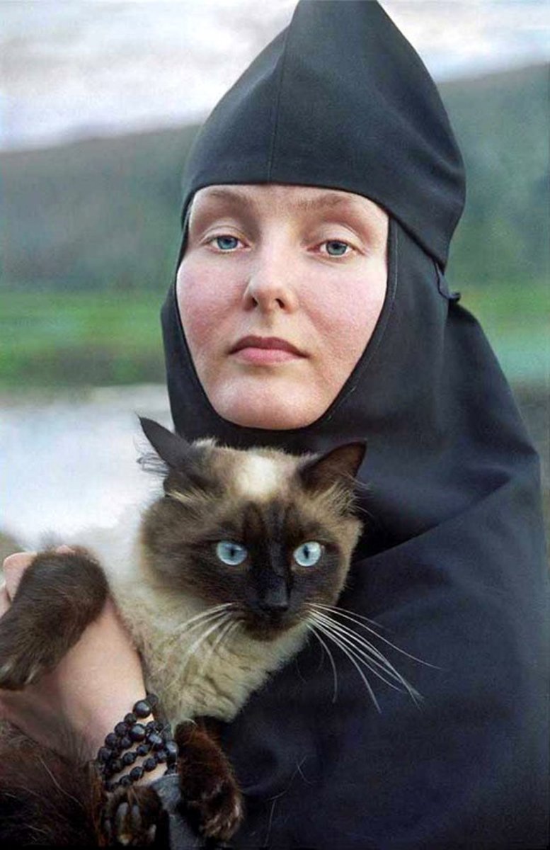 Православные коты