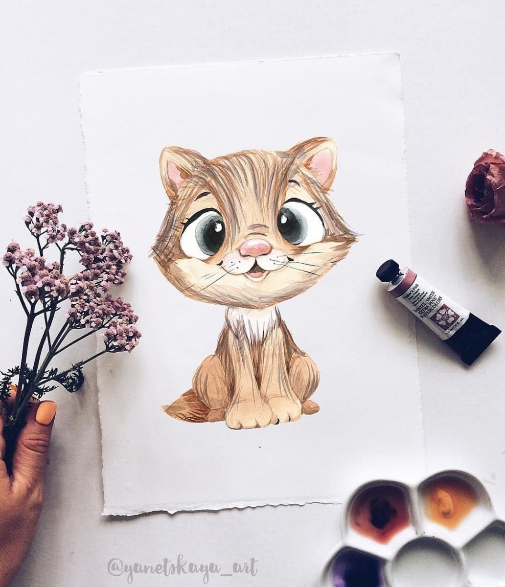 Новорожденный котенок