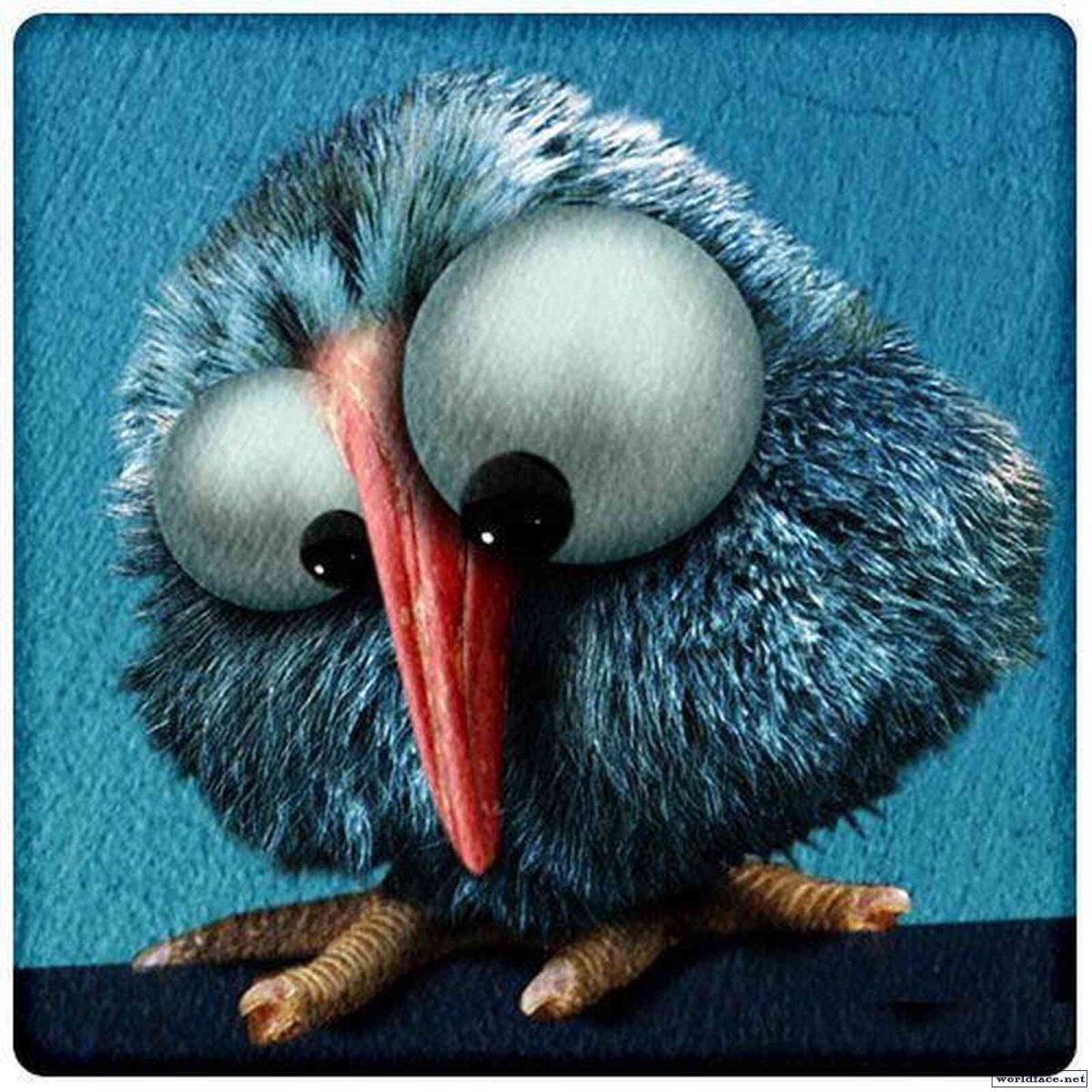 Ласточка прикол