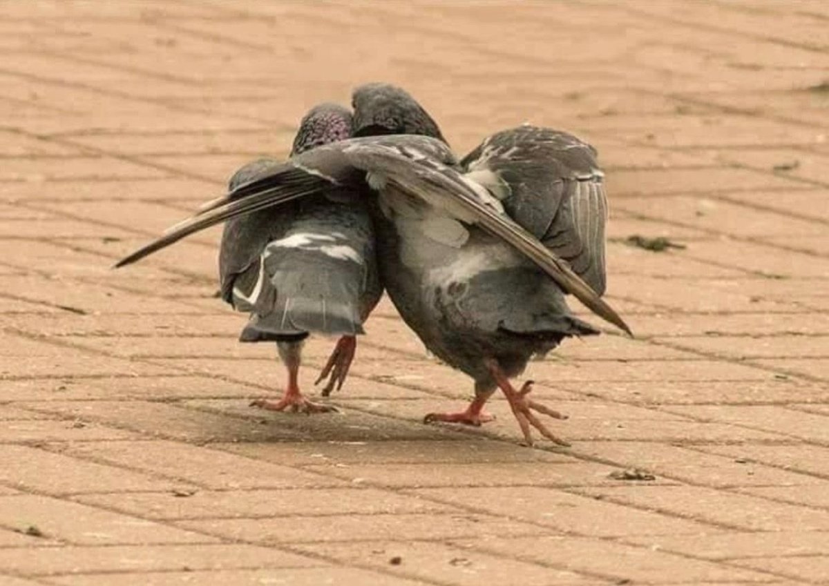 Открытки для поднятия настроения