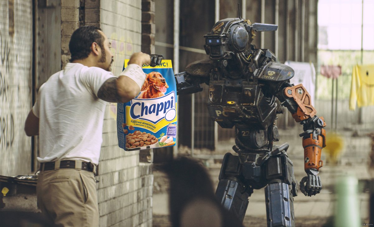 Сухие корма для кошек и собак