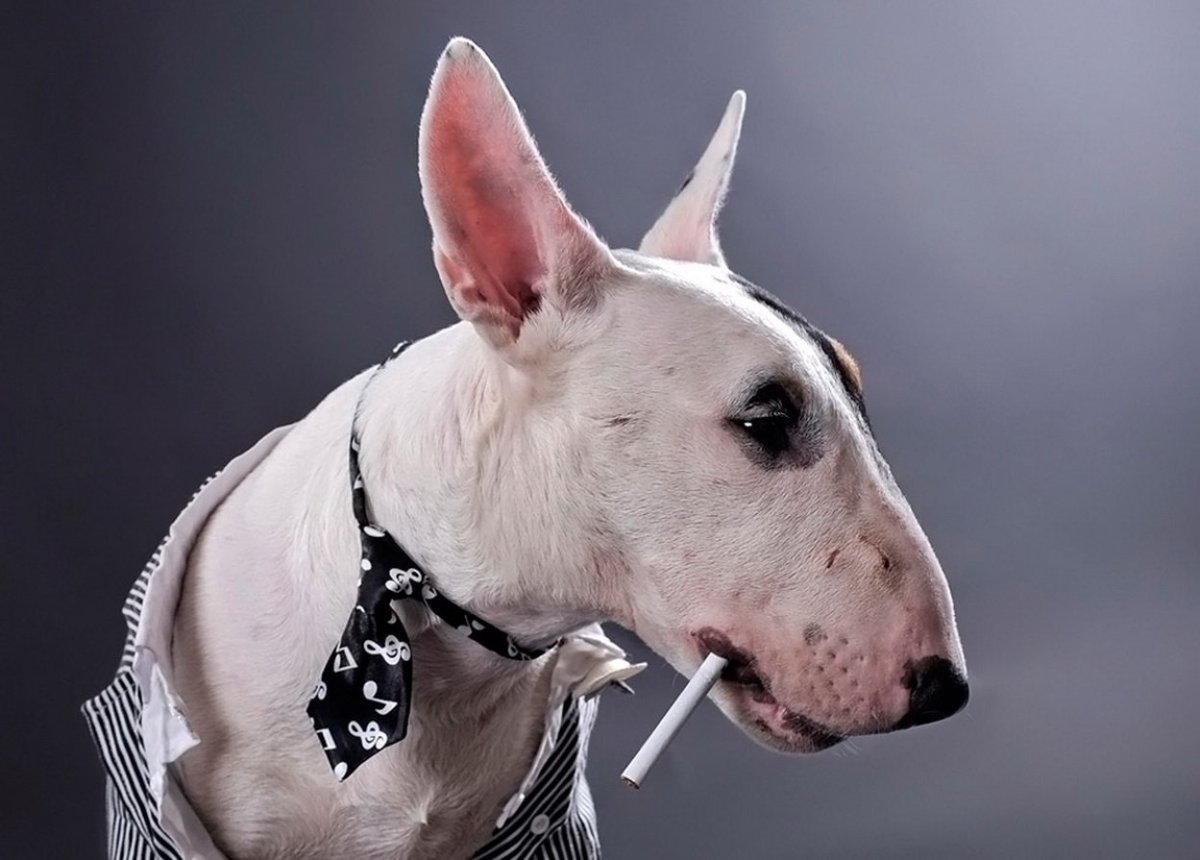 Большие ресницы