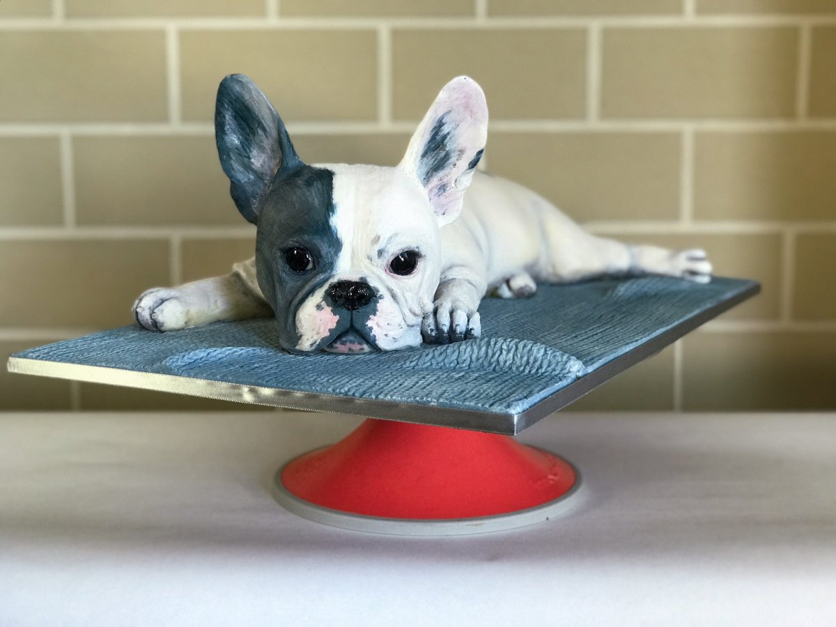 Метис МОПСА И французского бульдога