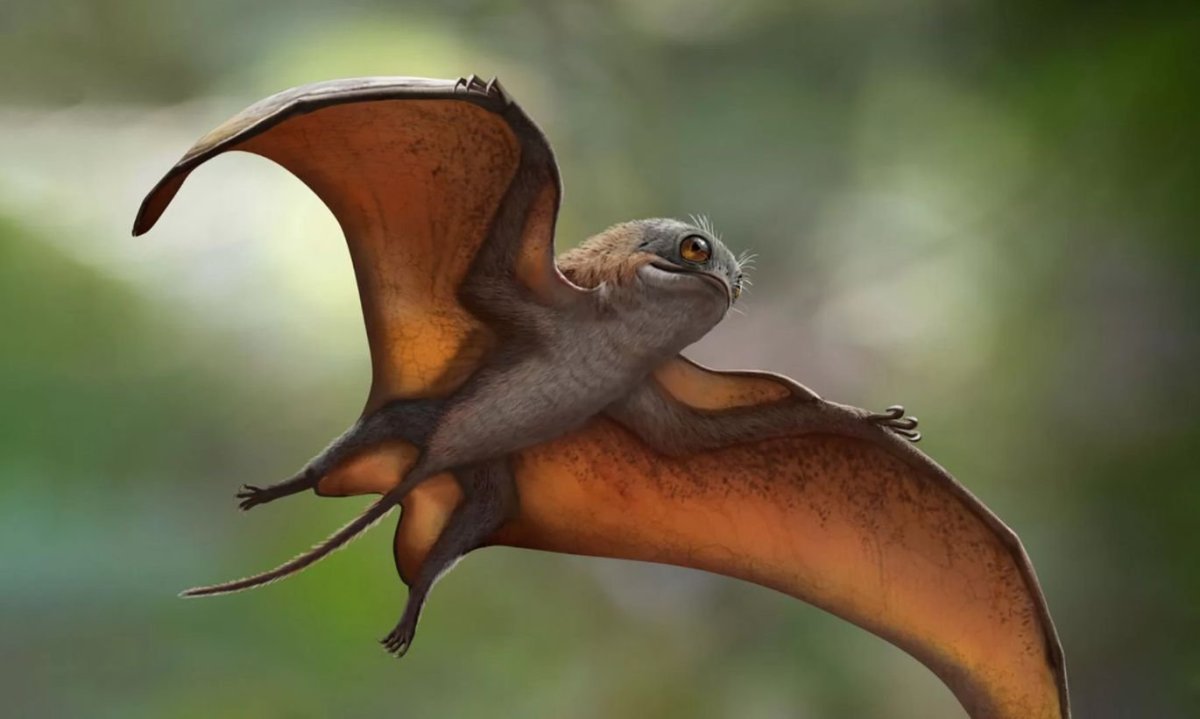 Летающие ящеры фото