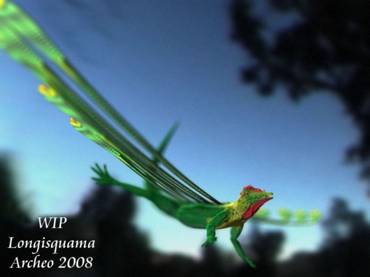 Longisquama insignis