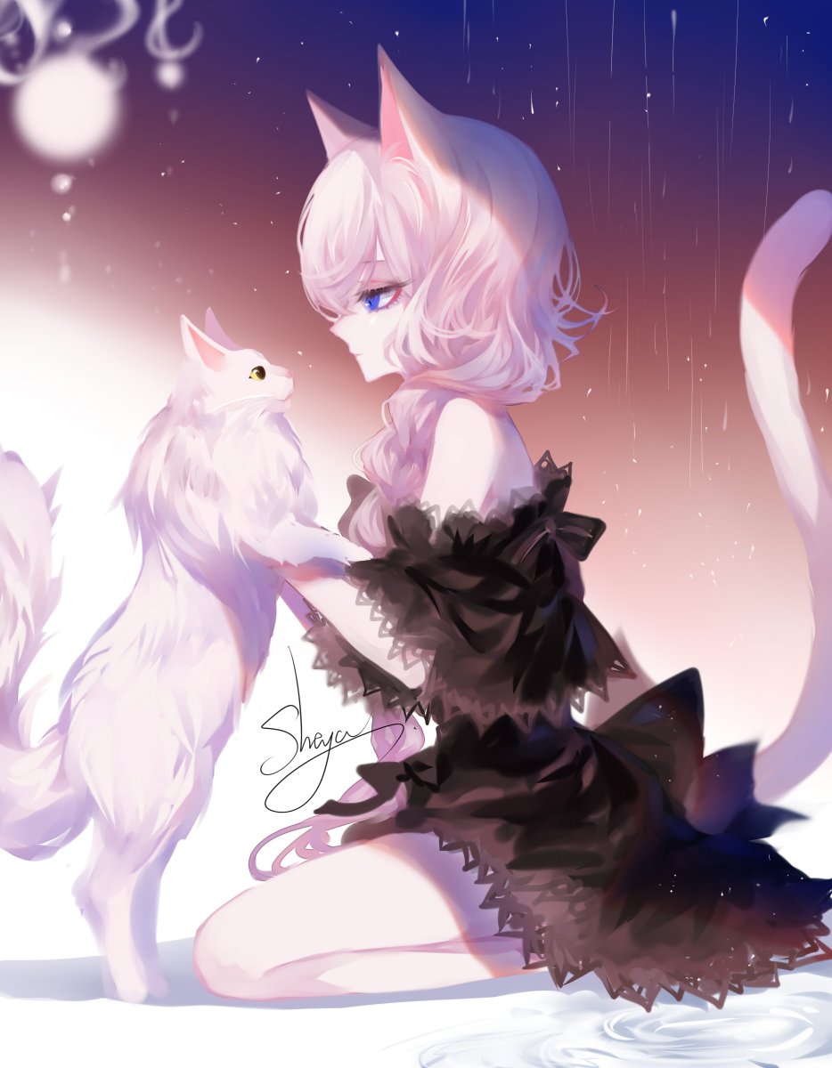 Sheya аниме неко